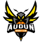 J.S.AUDUNOISE BASKET