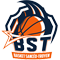 BASKET SANCEO TROYEN